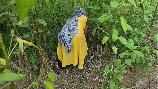 घास काटने गई थी मेरे देवर ने खेत में चोद दिया सलवार सूट पहने जमकर चोदा