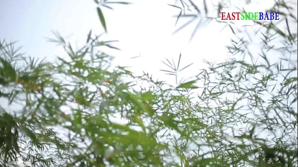 Holiday groups sex in the forest